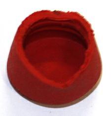 GA255