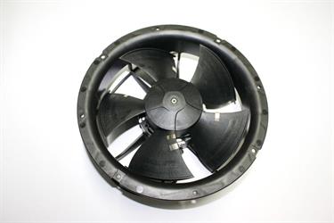 32500020