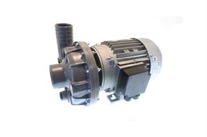 50800008