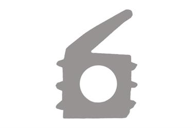 54800069